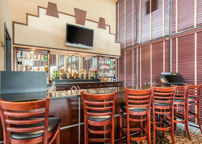 Quality Inn & Suites Tarpon Springs South
